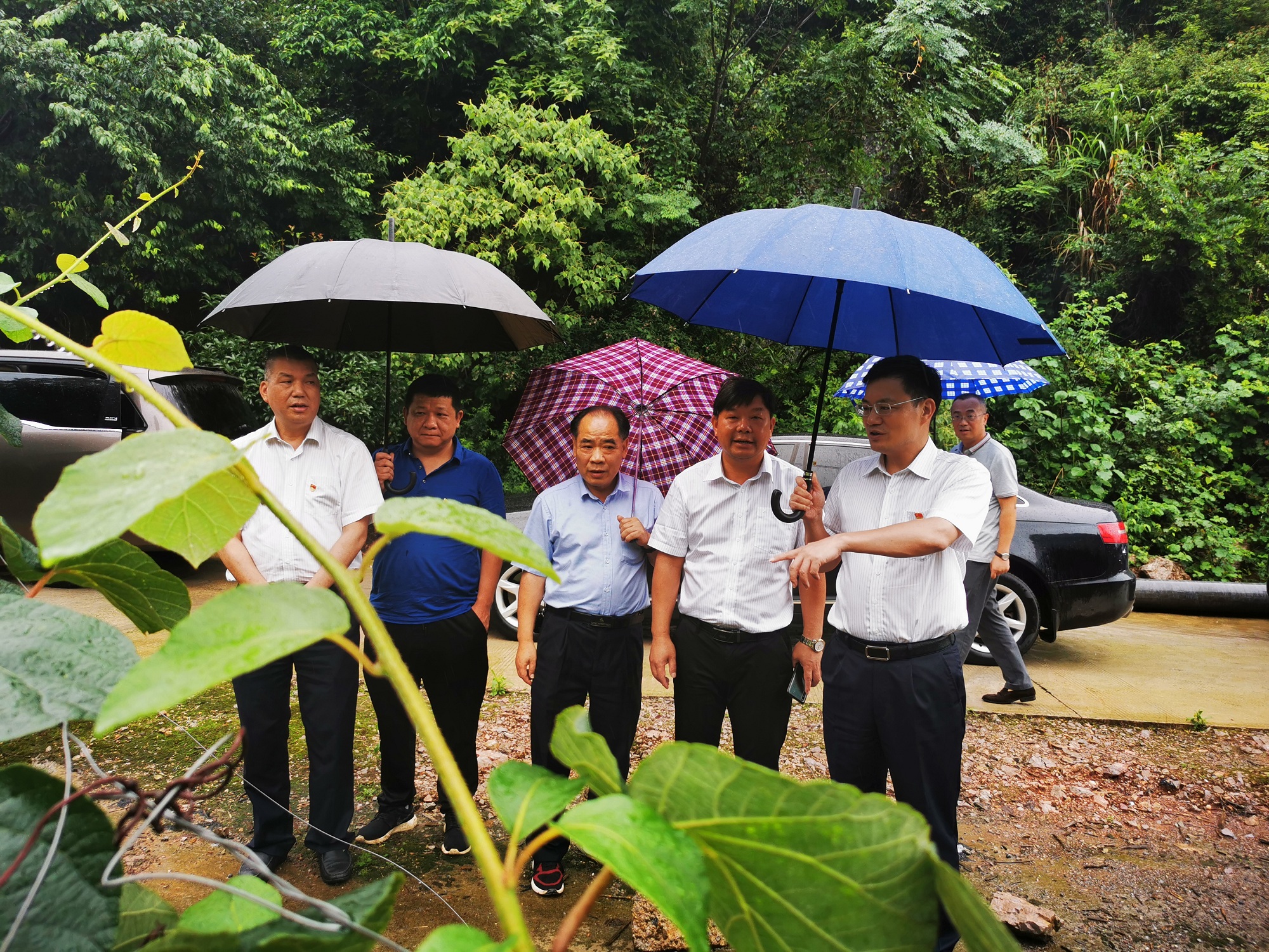 20200619154957.jpg 微信圖片_20200616221655.jpg